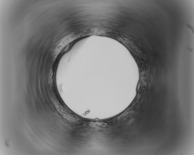 X0000102260242200808221421