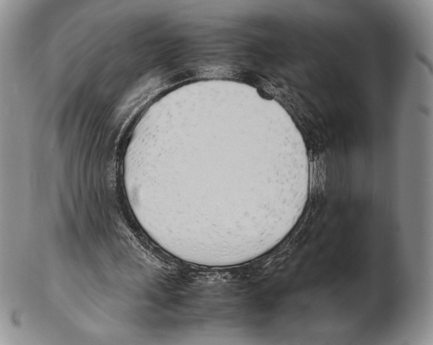 X0000102260243200808221421
