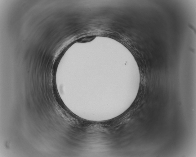 X0000102260244200808221421