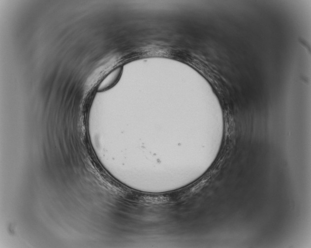 X0000102260245200808221421