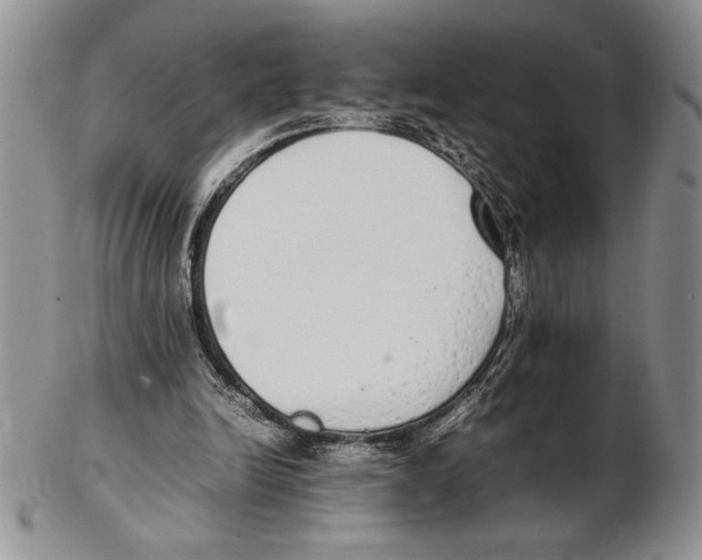 X0000102260246200808221421