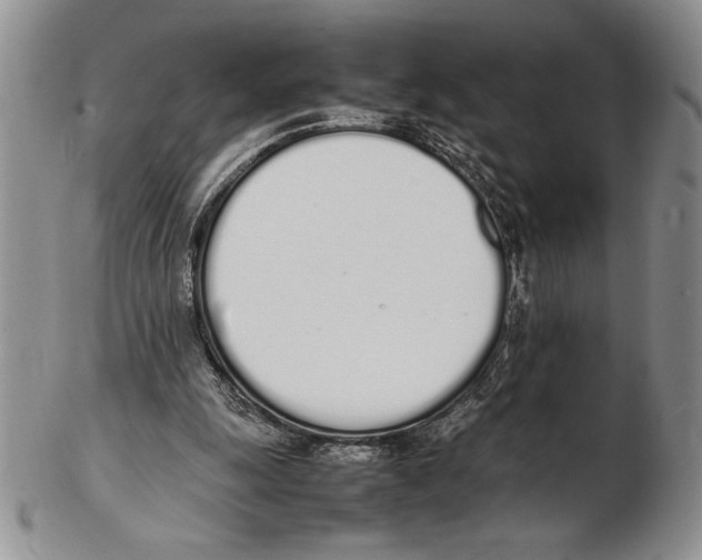 X0000102260247200808221421