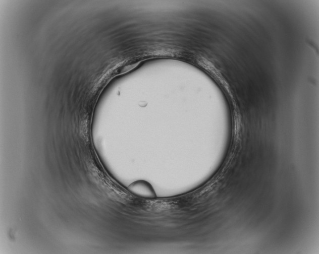 X0000102260249200808221421