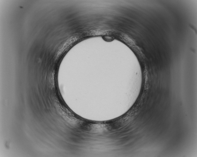 X0000102260250200808221421