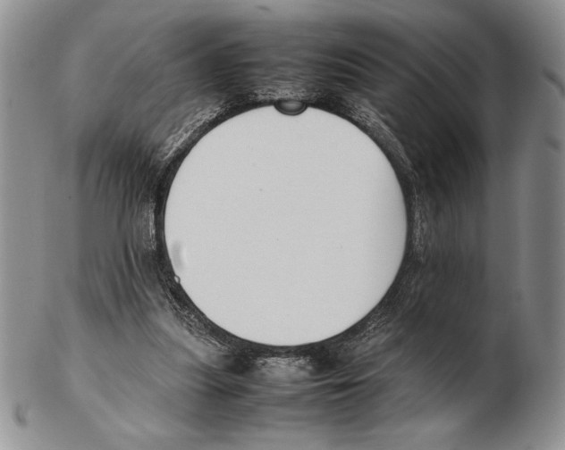 X0000102260251200808221421