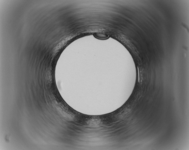 X0000102260252200808221421