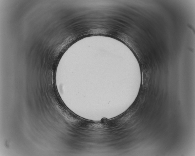 X0000102260253200808221422