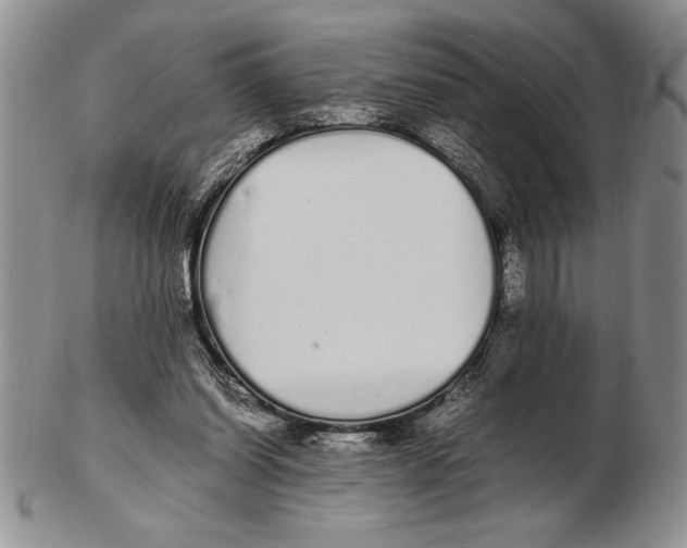 X0000102260254200808221422