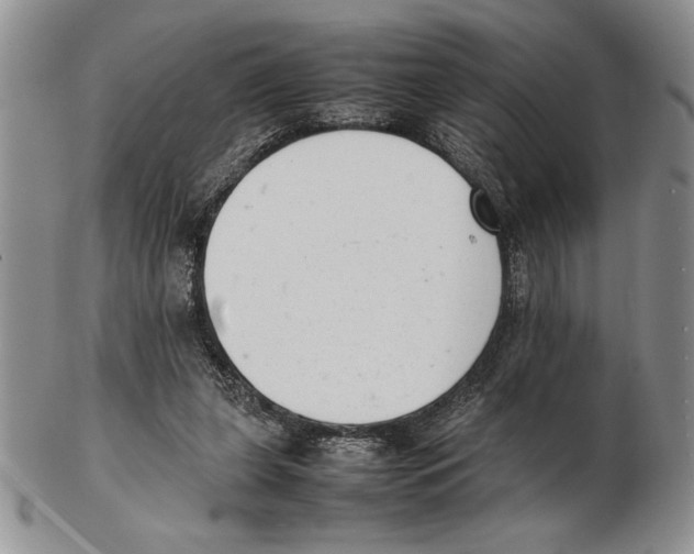 X0000102260255200808221422