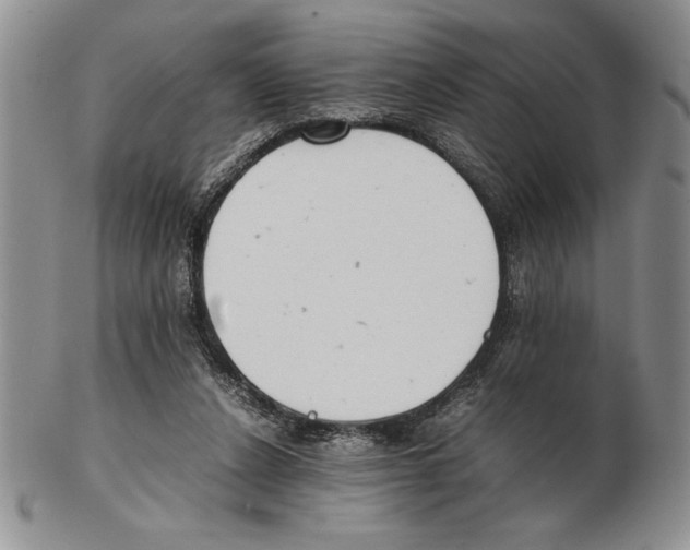 X0000102260256200808221422