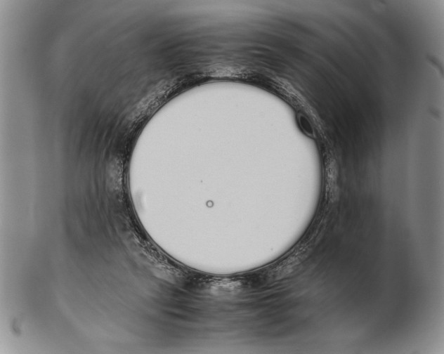 X0000102260257200808221422