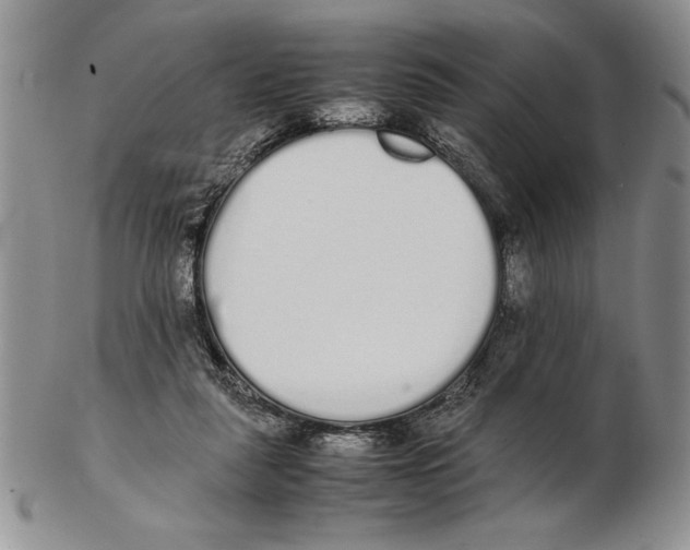 X0000102260259200808221422