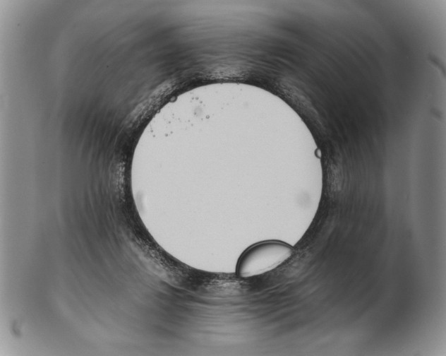 X0000102260260200808221422