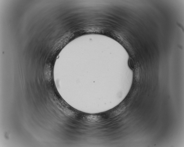 X0000102260261200808221422