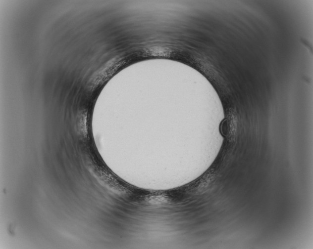 X0000102260262200808221422