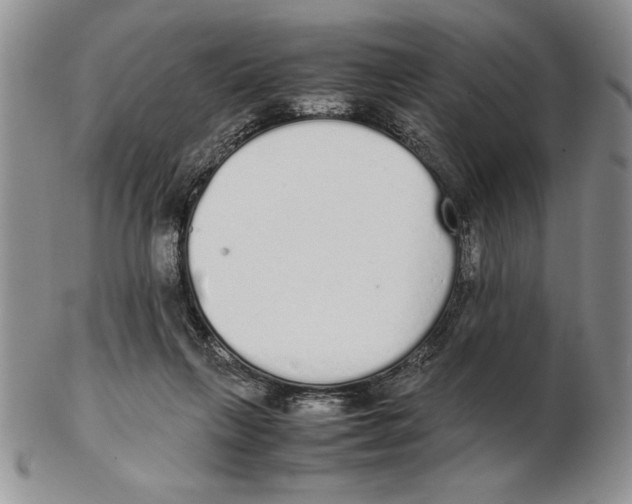 X0000102260263200808221422
