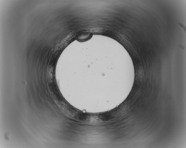 X0000102260264200808221422