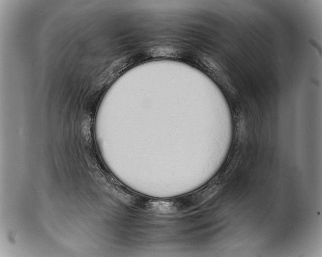 X0000102260265200808221422