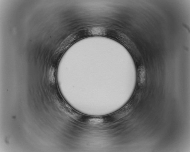 X0000102260266200808221422