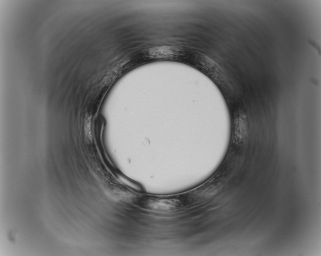 X0000102260267200808221422