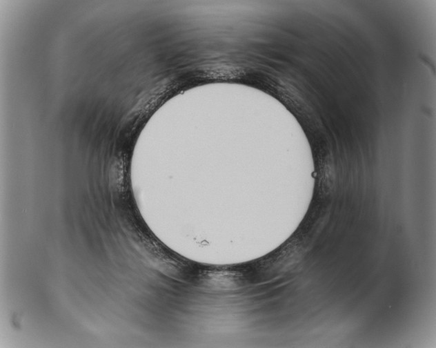 X0000102260268200808221422