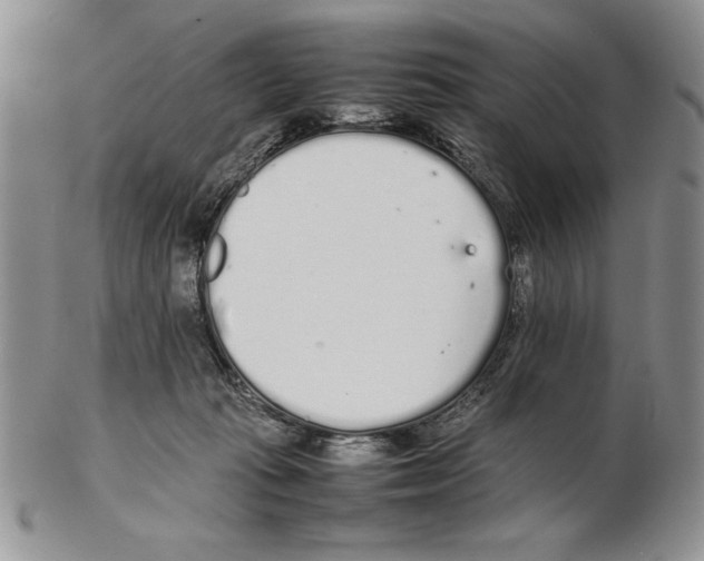 X0000102260269200808221422