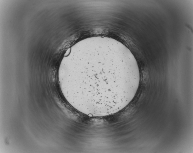 X0000102260272200808221422