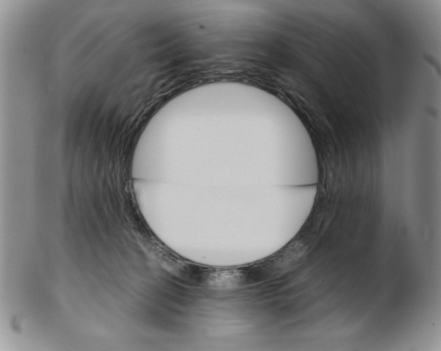 X0000102260274200808221422