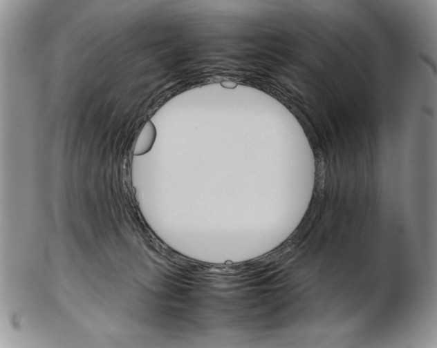 X0000102260275200808221422