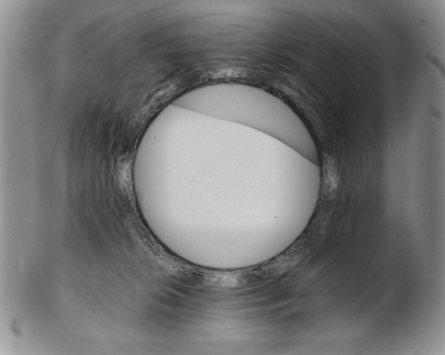 X0000102260276200808221422