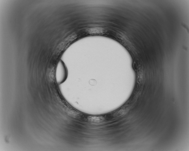 X0000102260277200808221422