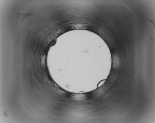 X0000102260278200808221422