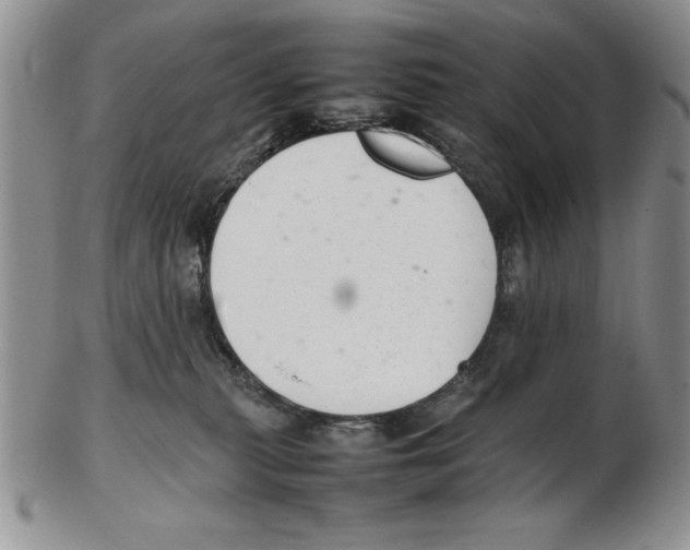 X0000102260279200808221422