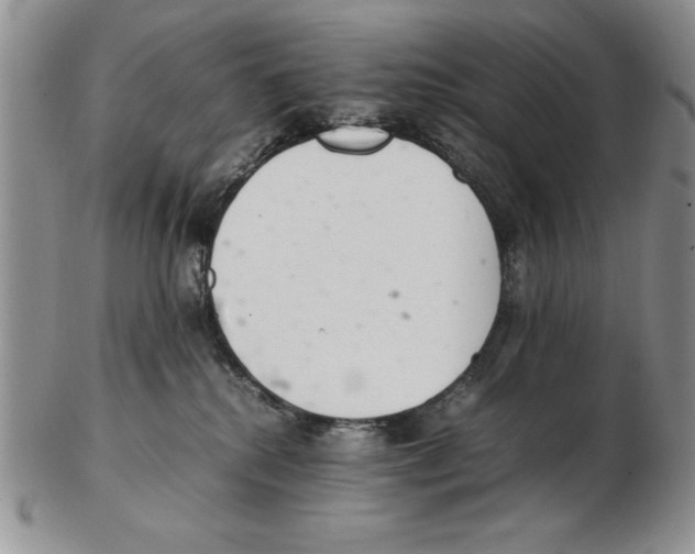 X0000102260280200808221422