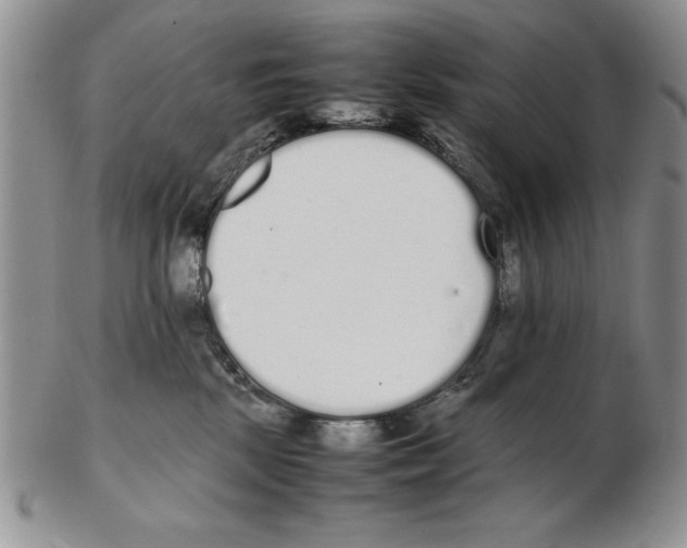 X0000102260281200808221422