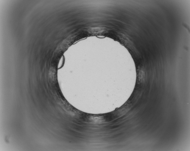 X0000102260283200808221422