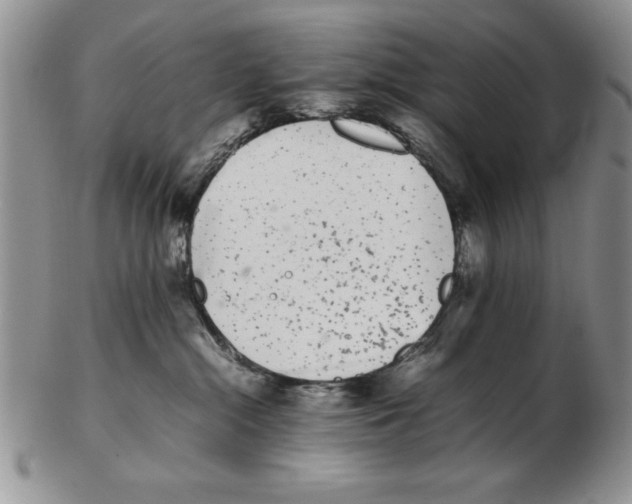 X0000102260284200808221422