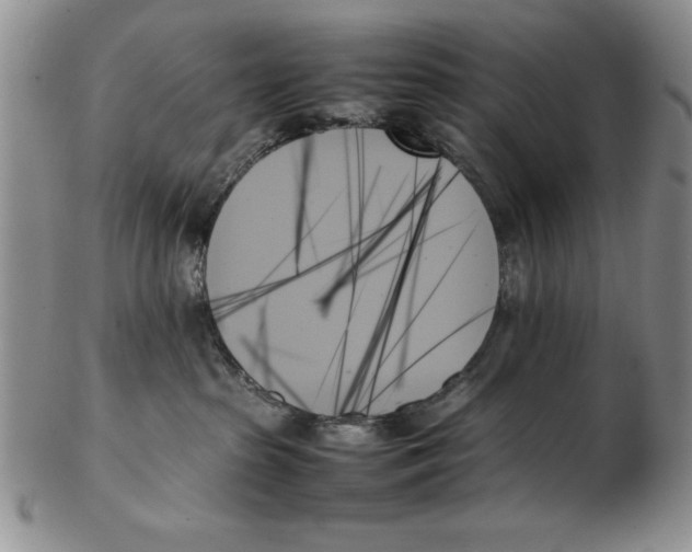 X0000102260285200808221422