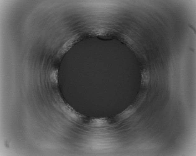 X0000102260286200808221422