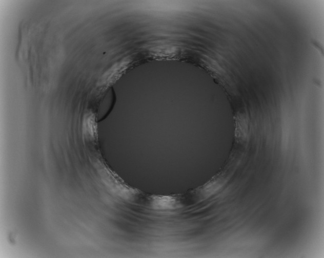 X0000102260287200808221422