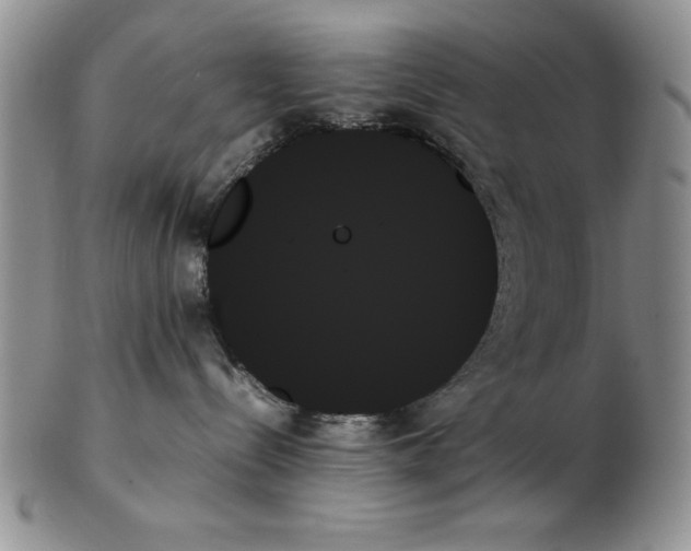 X0000102260288200808221422
