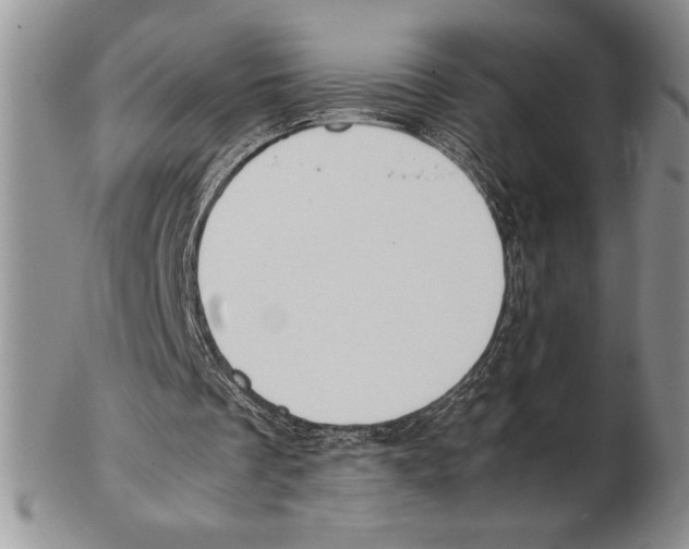 X0000102260289200808221421