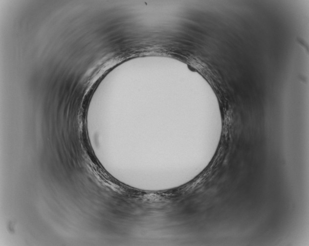 X0000102260290200808221421
