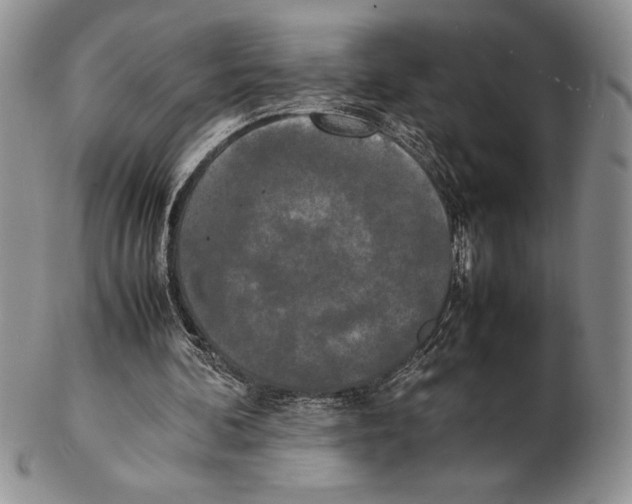 X0000102260292200808221421