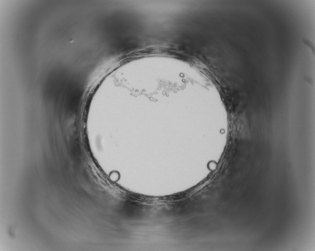 X0000102260293200808221421