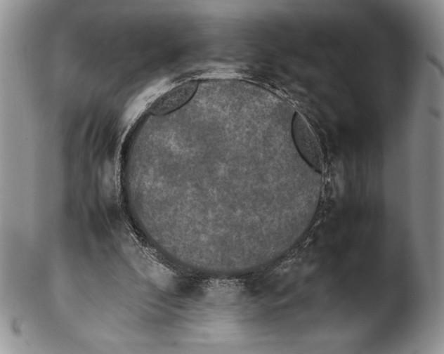 X0000102260296200808221421