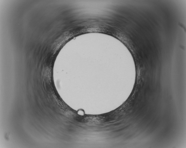 X0000102260297200808221421