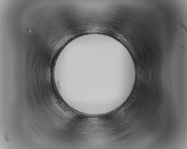X0000102260298200808221421