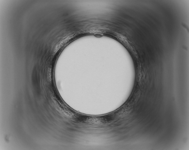 X0000102260299200808221421
