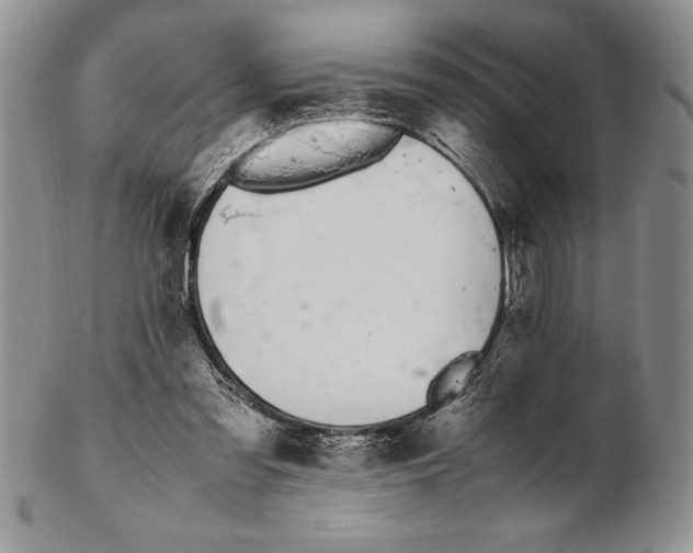 X0000102260301200808221421